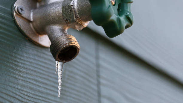 Best Shower Repair Services  in South Pittsburg, TN